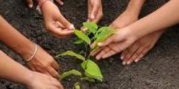 Resolve inadequacy of plantation, horticulture works: NGT to UP Chief Secy