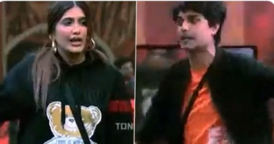 'BB 16': Ankit calls it a 'slap in your face' that he survives despite less involvement