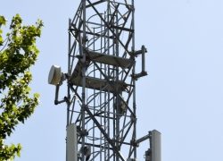 Radiation emitted from mobile towers has no ill effects on human health: Experts
