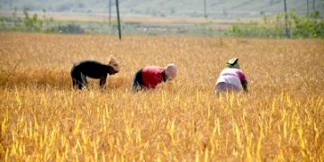 TN: 100 farmers to undergo training in Israel