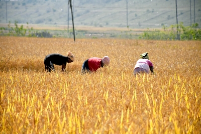 TN: 100 farmers to undergo training in Israel TN: 100 farmers to undergo training in Israel