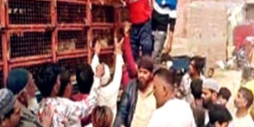 UP poll aspirant distributes free chicken