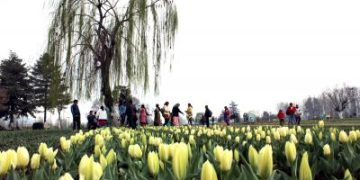 Dry weather, mainly clear, partly cloudy sky likely in J&K
