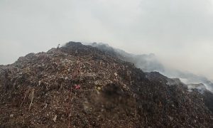 No more waste dumping at Bandhwari landfill from Feb 1