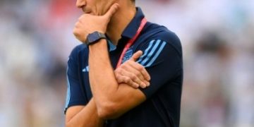 We have to pick ourselves up, says Argentina boss Scaloni