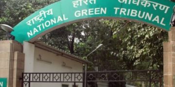NGT files suo-moto case in Mizoram stone quarry collapse