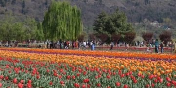 Dry weather with partly cloudy sky likely in J&K for next 24 hrs