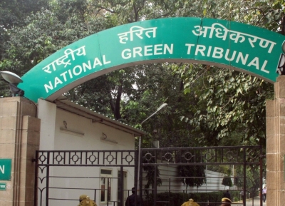 NGT directive: CPCB to join TN govt for biomedical waste disposal