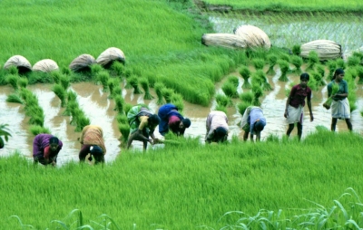 TN farmers demand annual de-silting of water bodies to increase storage
