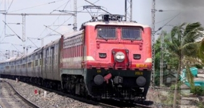 90 sheeps, 8 vultures die after being hit by train in UP