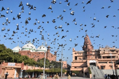 Mathura court orders survey of Shahi Idgah from Jan 2