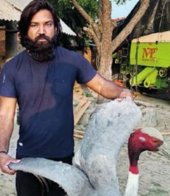 This man in UP has Sarus as pet