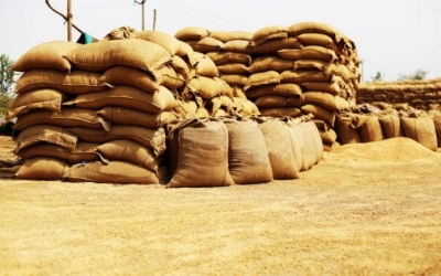 Goa court directs to release rice, wheat seized during raids in Nov