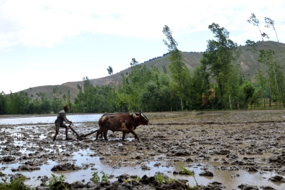 J&K launches project to promote sustainable agriculture J&K launches project to promote sustainable agriculture