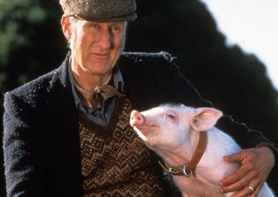 James Cromwell recreates 'Babe' scene with rescue piglet named after movie