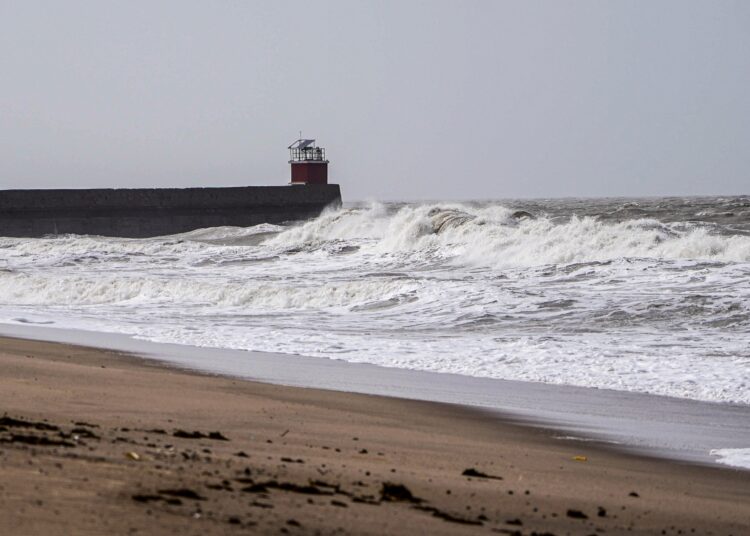 Cyclone Biparjoy picks up speed; lying close to Gujarat coast, warn experts