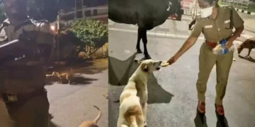 Chennai Officer Criticized for Remarks on Woman Feeding Strays