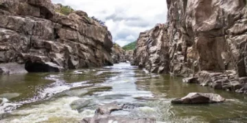 Tamil Nadu Farmers' Association Criticizes Karnataka CM on Mekedatu Dam