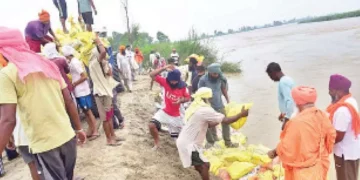 Heavy Rains and Flooding Escalate Crisis in Kapurthala District