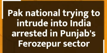 Pak national trying to intrude into India arrested in Punjab's Ferozepur sector
