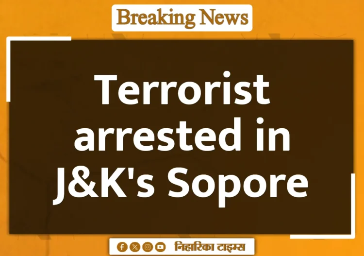 Terrorist arrested in J&K's Sopore Terrorist arrested in J&K's Sopore