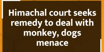 Himachal court seeks remedy to deal with monkey, dogs menace