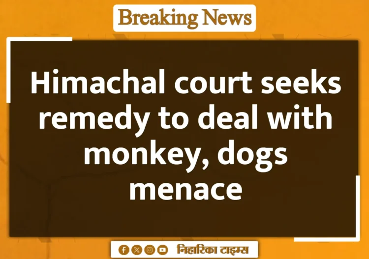 Himachal court seeks remedy to deal with monkey, dogs menace Himachal court seeks remedy to deal with monkey, dogs menace