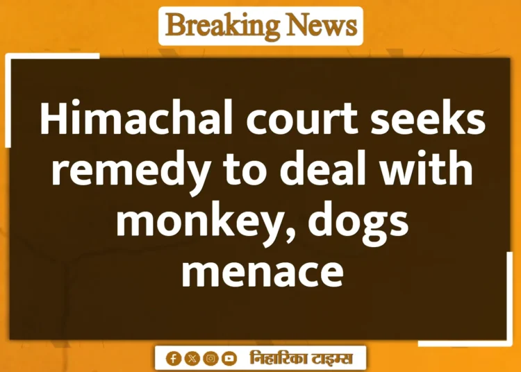Himachal court seeks remedy to deal with monkey, dogs menace