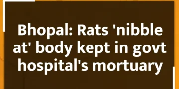 Bhopal: Rats 'nibble at' body kept in govt hospital's mortuary