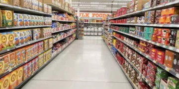 Nellore Sees Huge Growth in Pet Supplies and Beauty Products with Instamart's Fast Delivery