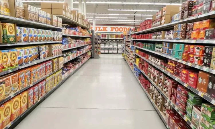 Nellore Sees Huge Growth in Pet Supplies and Beauty Products with Instamart's Fast Delivery