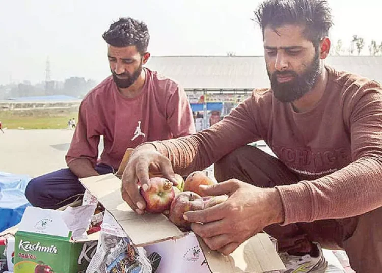 Kashmir Apple Producers and Traders Demonstrate Against Highway Closure