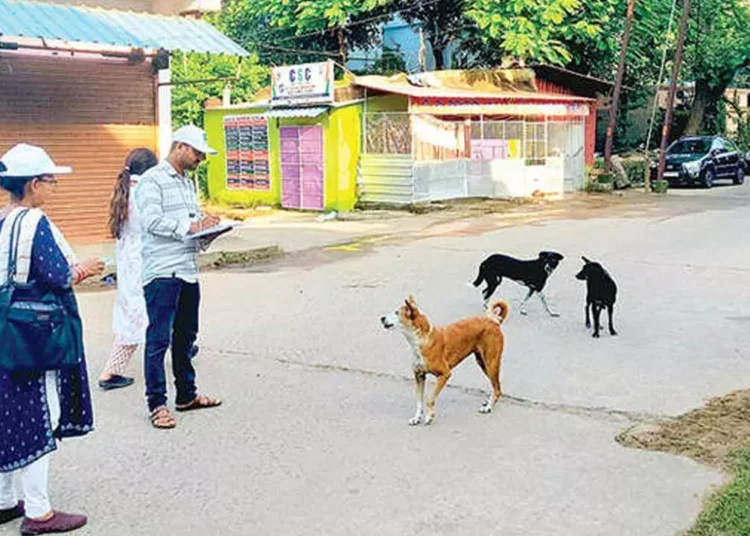 Bhubaneswar Launches Citywide Stray Dog Census Initiative