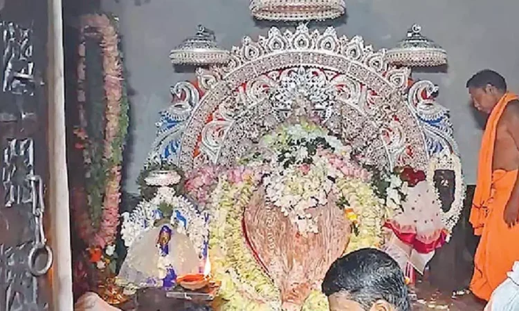 Massive Gathering at Samaleswari Temple for Special Ritual