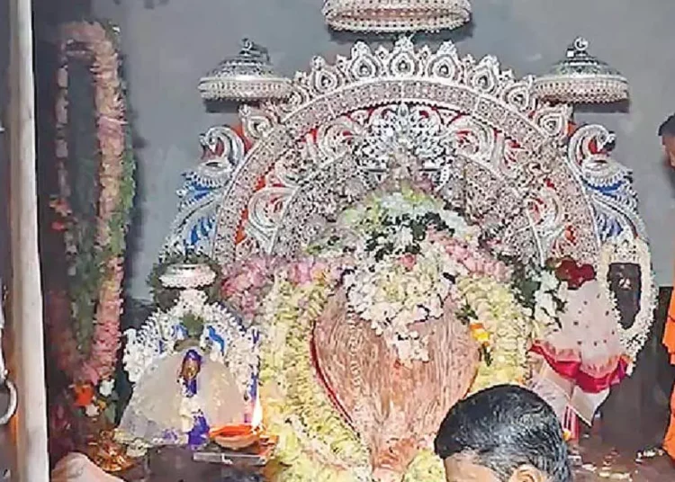 Massive Gathering at Samaleswari Temple for Special Ritual