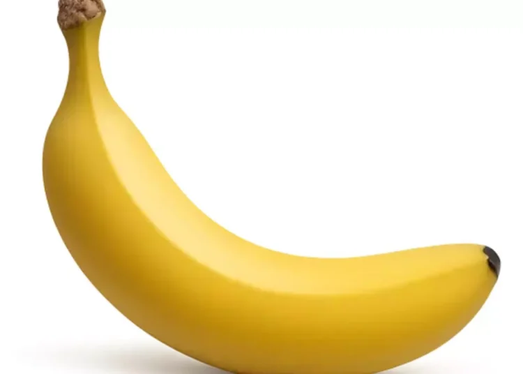 Google's Nano Banana AI Launches for Image Creation on WhatsApp