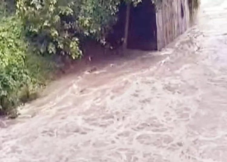 Severe Rainfall Disrupts Life Across Odisha's Districts