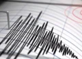 India Not at Risk of Tsunami Following 6.9 Quake in Philippines