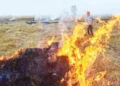 Farmers criticize government actions against stubble burning