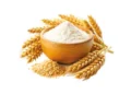 Government Increases Wheat Minimum Support Price to Rs 2,585