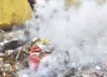 Delhi's Air Pollution Forecasting System Achieves High Accuracy