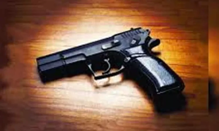 BSF Recovers Two Pistols Believed to Be Airdropped from Pakistan