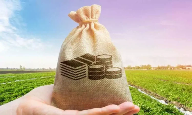 Understanding the Key Factors Influencing Plot Loan Interest Rates in India