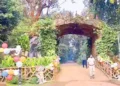 Similipal Tiger Reserve Welcomes Back Visitors After Monsoon