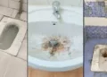 Supreme Court Hears Concerns Over Unhygienic Court Washrooms