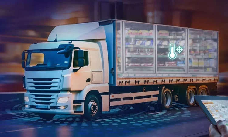 How Cold Chain Logistics Fuels 15-Minute E-Commerce Deliveries