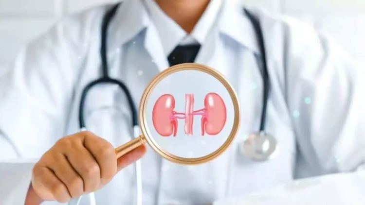 Chennai Urologist Highlights Risks of High Salt Consumption for Kidney Health