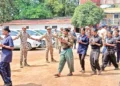 Government's Efforts Result in 270 Rebel Deaths in 2025