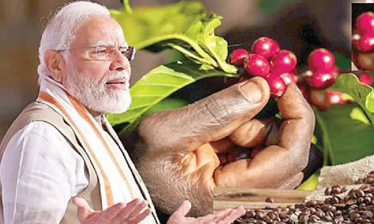 Modi Highlights Koraput Coffee's Significance in 'Mann Ki Baat' Modi Highlights Koraput Coffee's Significance in 'Mann Ki Baat'