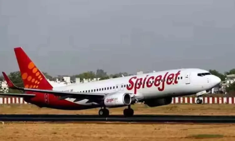 SpiceJet Plans to Operate 250 Daily Flights This Winter Season SpiceJet Plans to Operate 250 Daily Flights This Winter Season